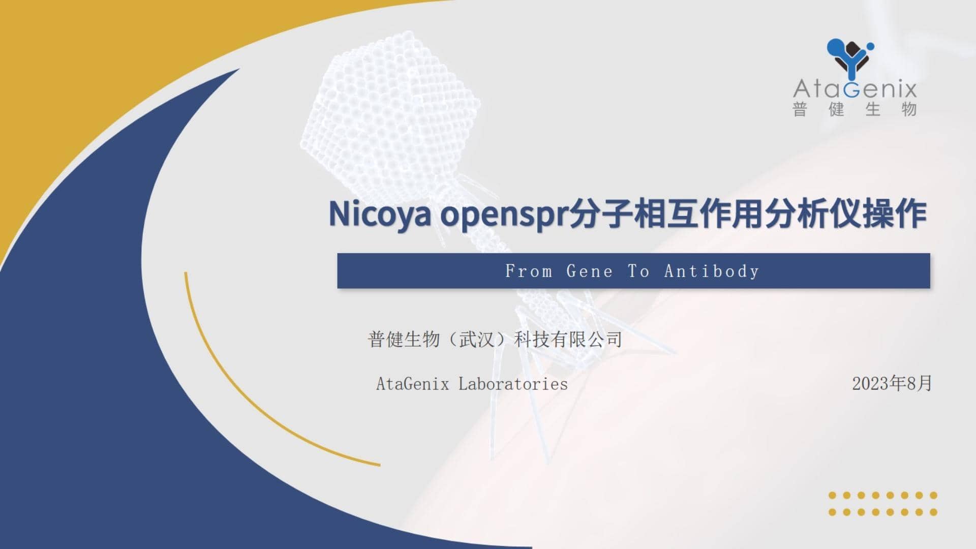 基礎試驗操作篇&mdash;&mdash;SPR親和力測定